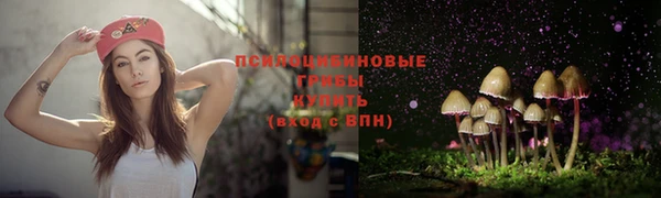 трава Алексин