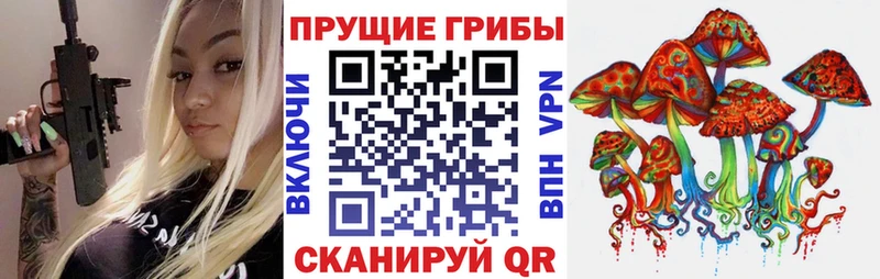 Галлюциногенные грибы Psilocybe  купить наркотики цена  Снежногорск 