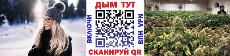 закладка  Снежногорск  ссылка на мегу сайт  Бошки марихуана THC 21% 