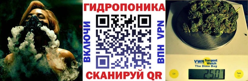 МАРИХУАНА конопля Снежногорск